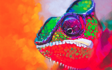 Colorful Chameleon